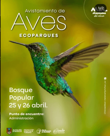 Avistamiento de Aves Ecoparques